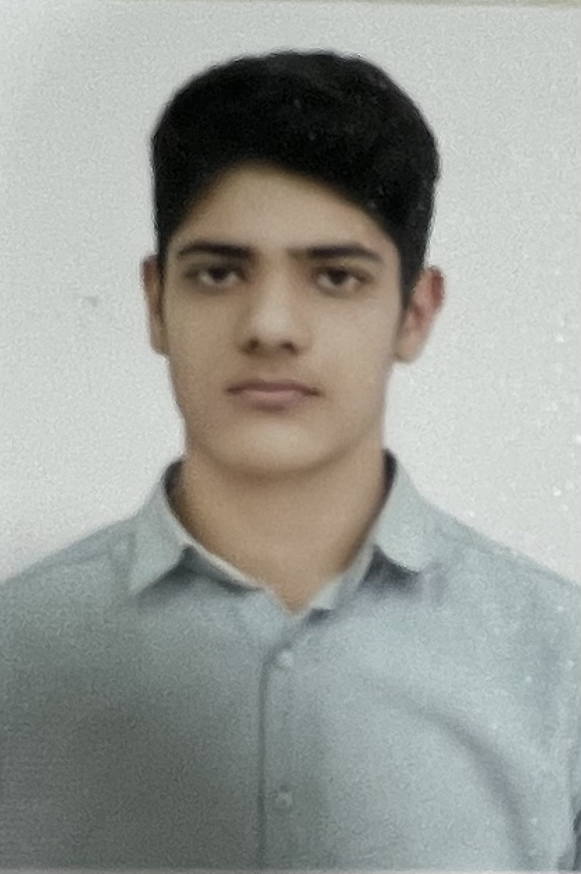 ارین  حاج اقایی